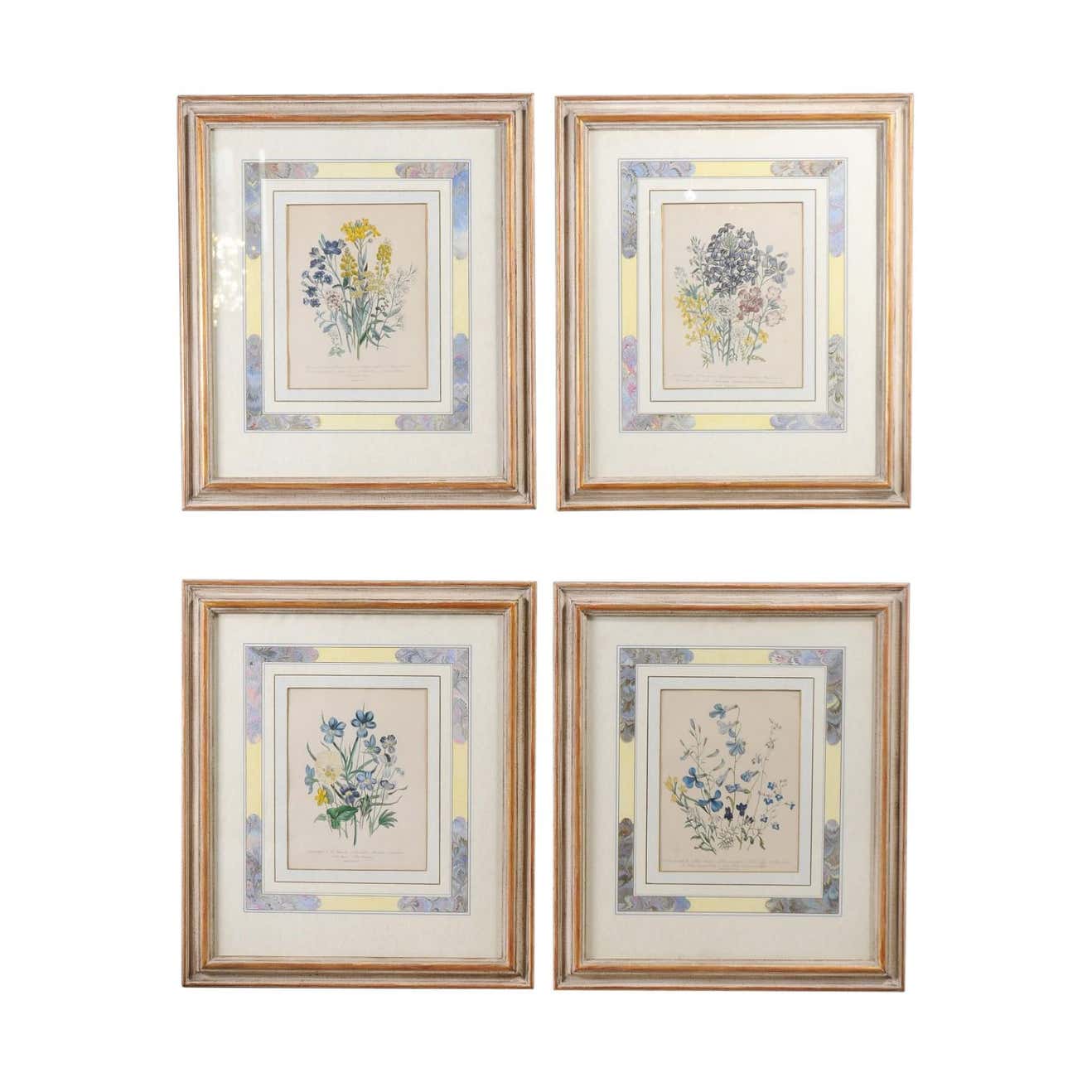Two Pairs of Original English Hand-Colored Floral Lithographs by Jane London