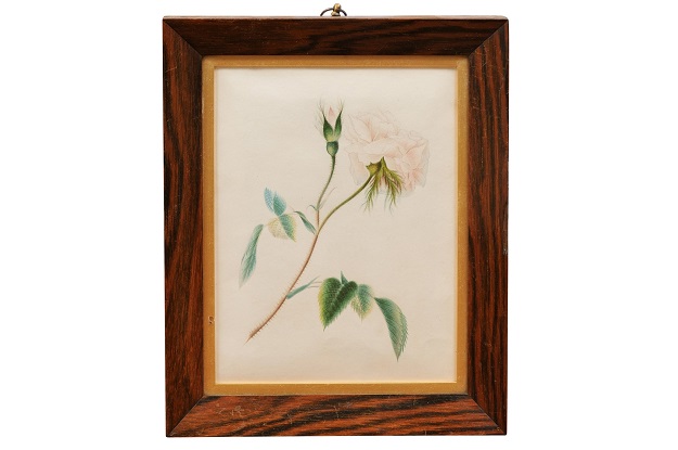 English 1850s Victorian Period Wooden Framed Print Depicting a Rose