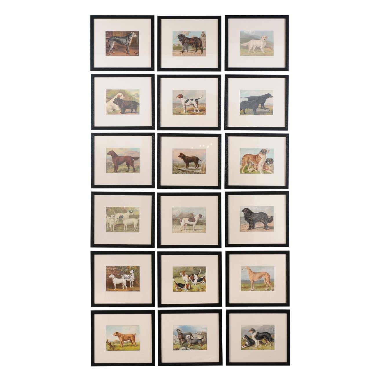 18 Cassell, Petter, Galpin & Co Chromolithograph Dog Prints in Black Frames